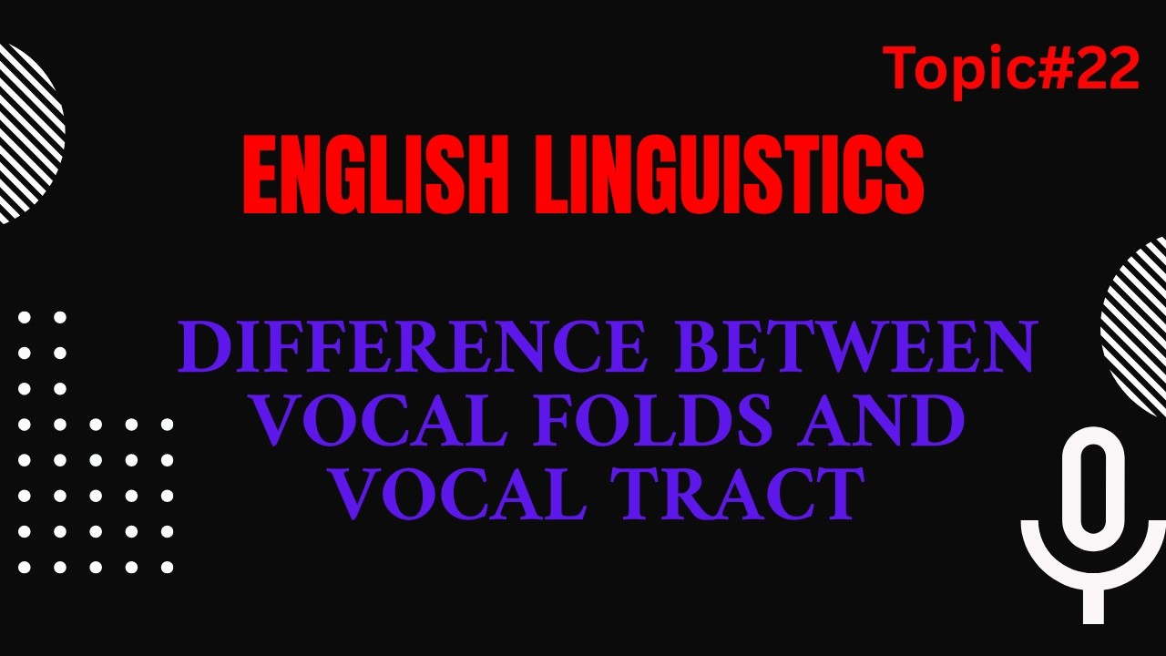 Difference between vocal folds and vocal Tract in English Linguistics