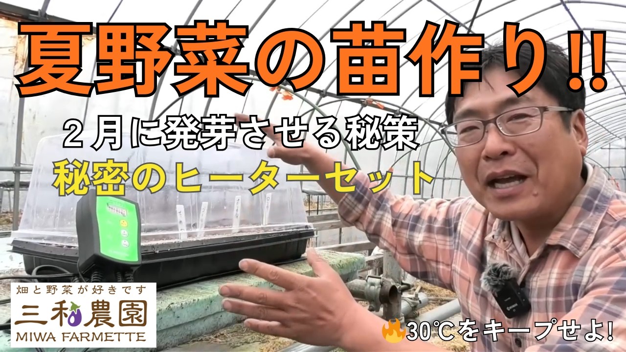 2月下旬に夏野菜の種まき！発芽温度25℃をどう確保する？【トマト・ナス・ピーマン】（2026.2.23）