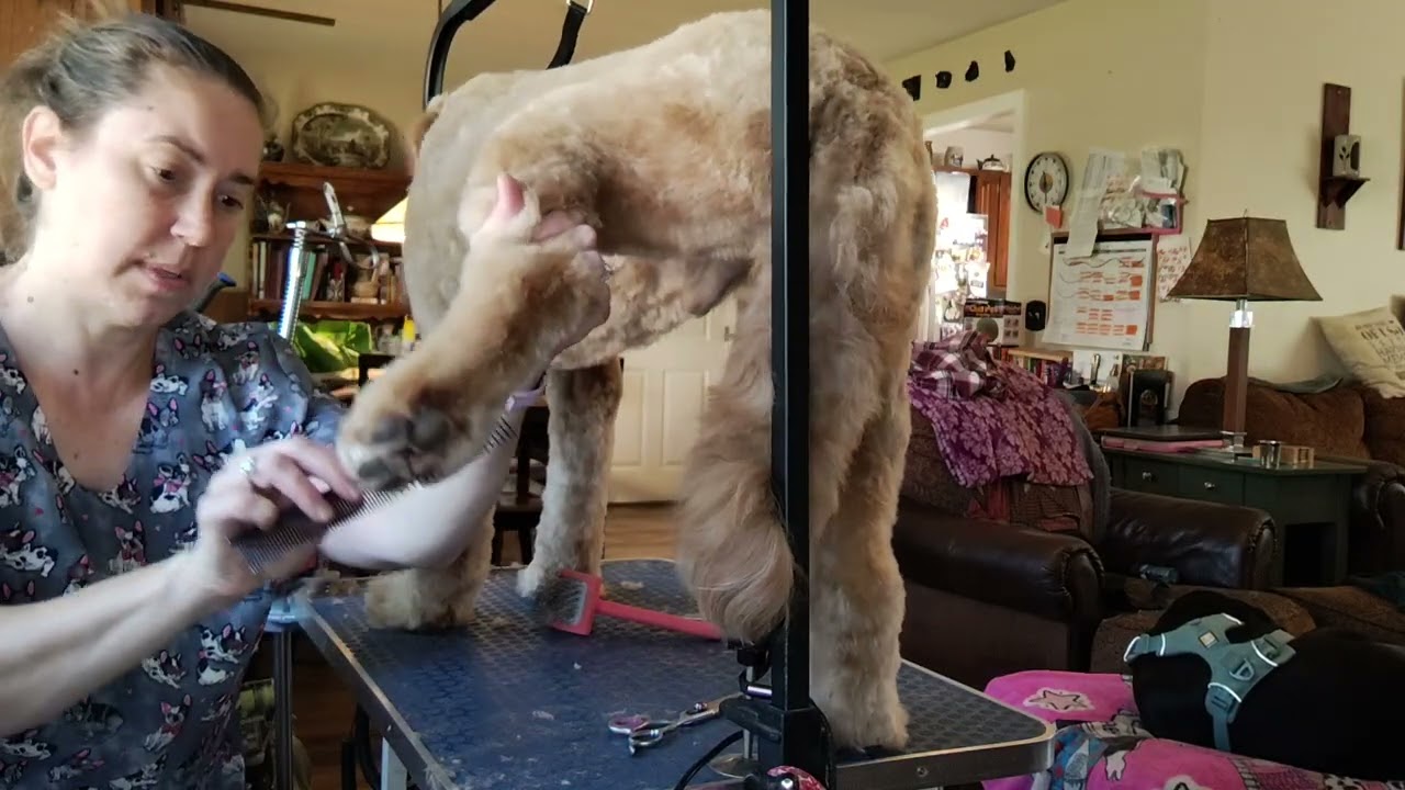 How to trim a rounded paw