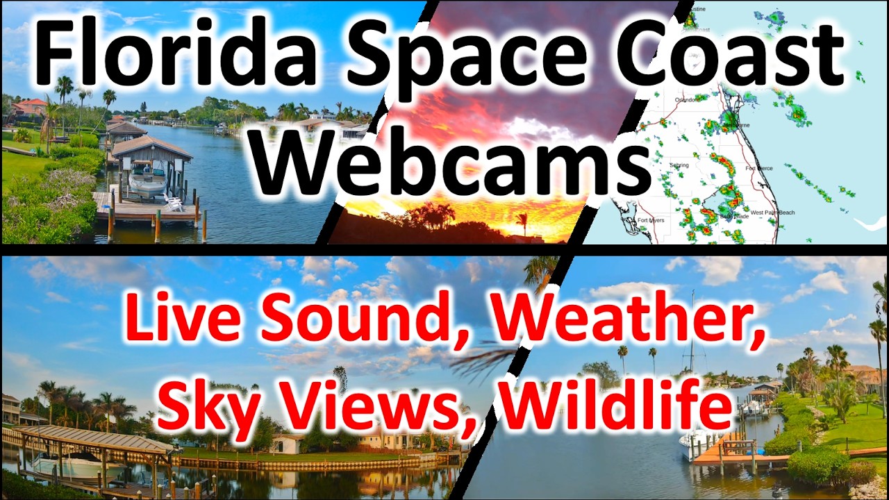 🔴 LIVE FL Space Coast Webcams | Sounds, Skies, Weather, Wildlife in Satellite Beach, FL