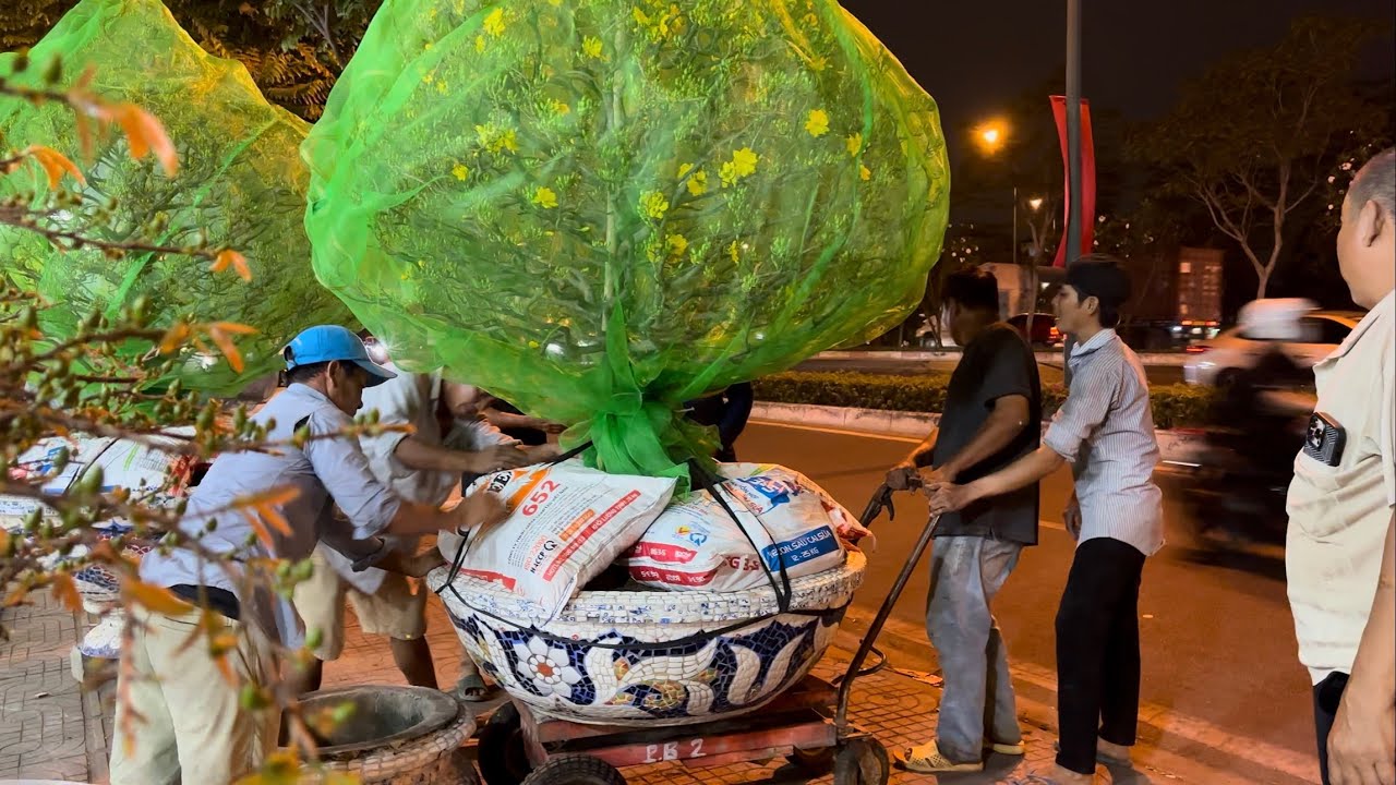 Vùng Đất Rồng đang phát trực tiếp!