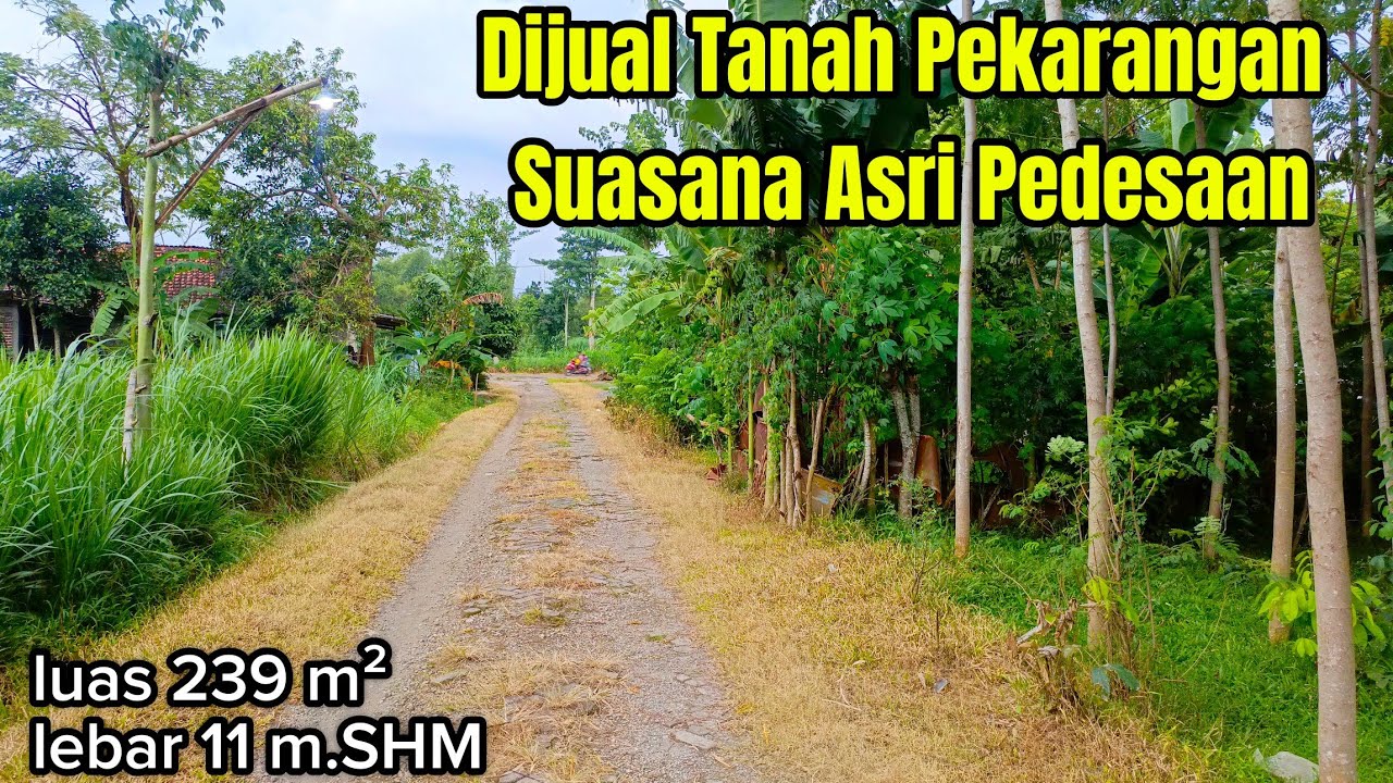 Dijual Tanah Pekarangan Suasana Asri Pedesaan 239 m²( 082194791760 )