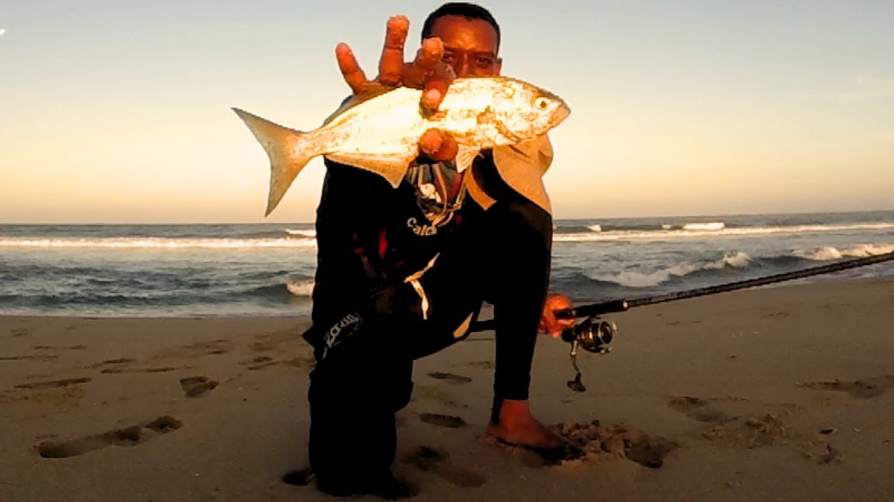The Ultimate SHAD Showdown: Lure vs. Spoon vs. Bait Fishing St Lucia.