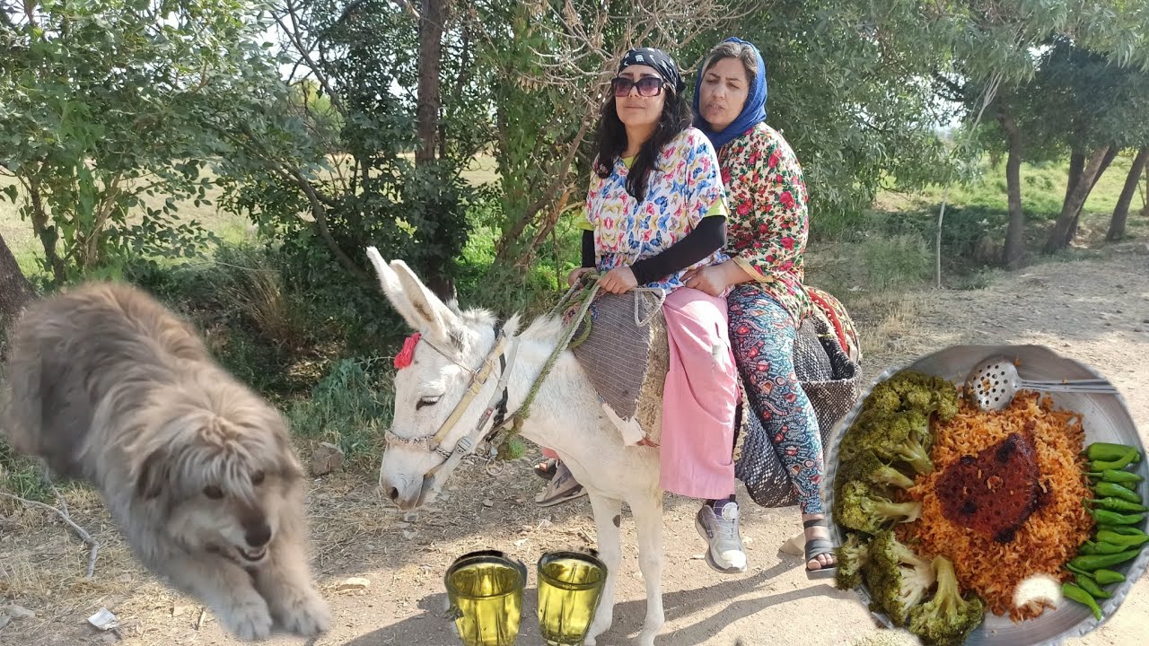 Iranian rural women: donkey riding/amazing cooking
