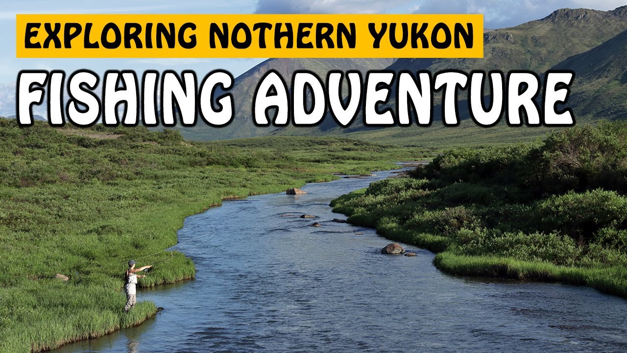 Catching My BIGGEST Pike, Exploring Yukon's Dawson City! | Fishing with Rod #pikefishing #fishing