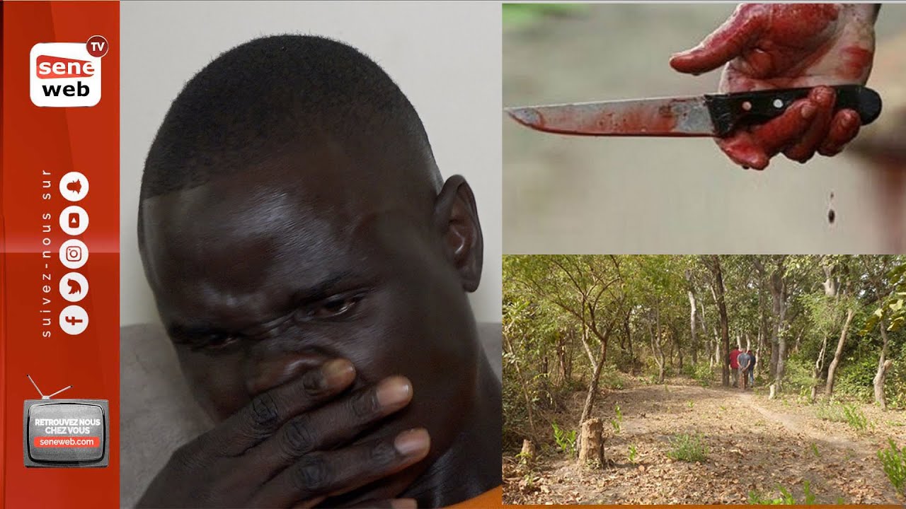 Forêt classée de Mbao: terribles révélations de Bakary qui a frôlé la mort: « Ay bopou nitt lagnou»