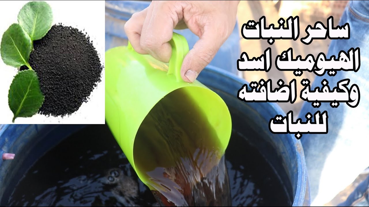 المركب الساحر حامض الهيوميك وكيفية اضافته للنبات وجعل التربة ممتازة للنبات ( Humic acid )