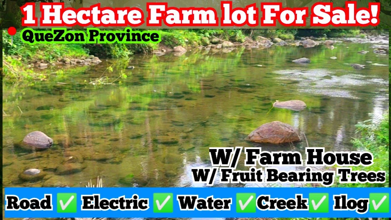Gandang Gawing camping site nito. V#125👉1 has Farm lot for sale. may bahay na, ilog at creek.