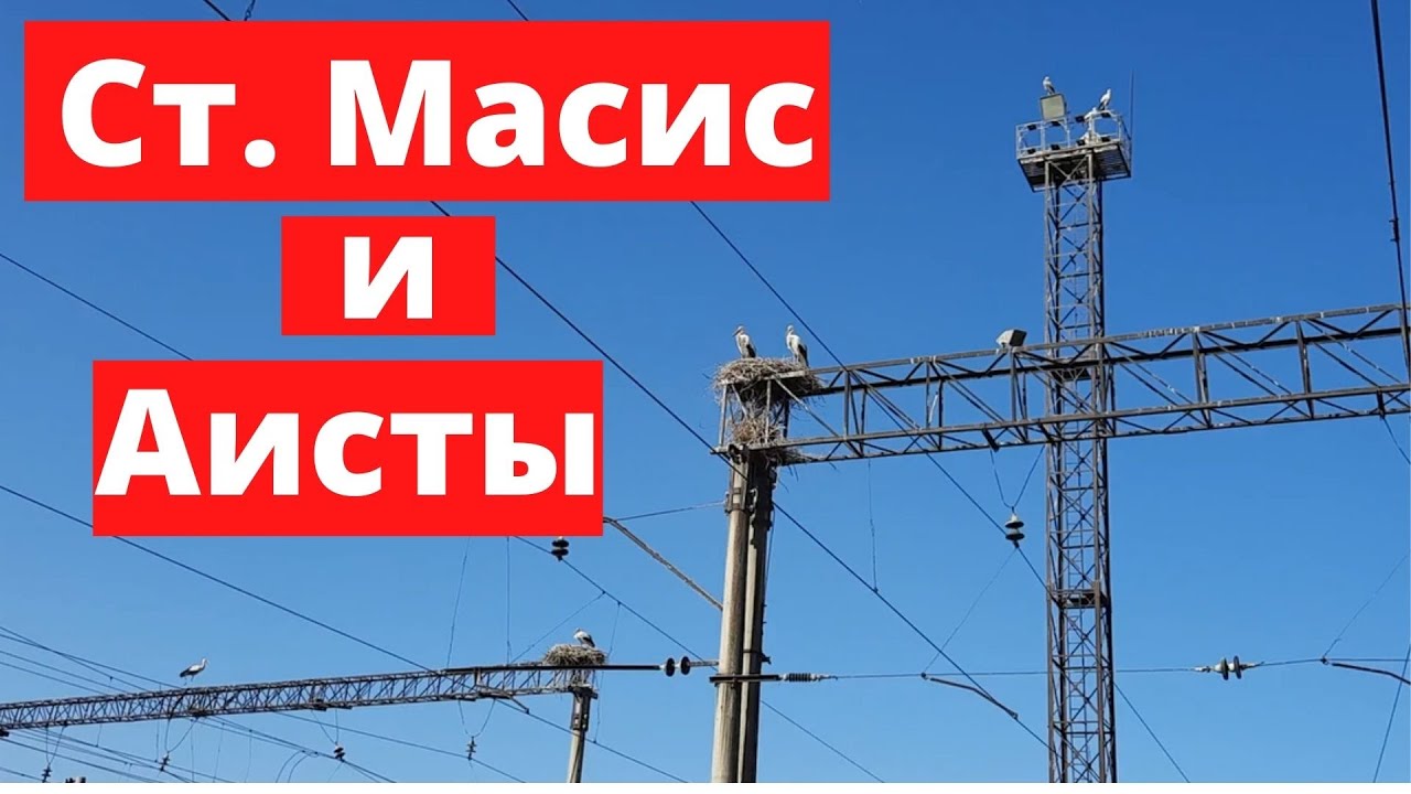 Железнодорожная станция Масис и Аисты - Train station Masis and Storks