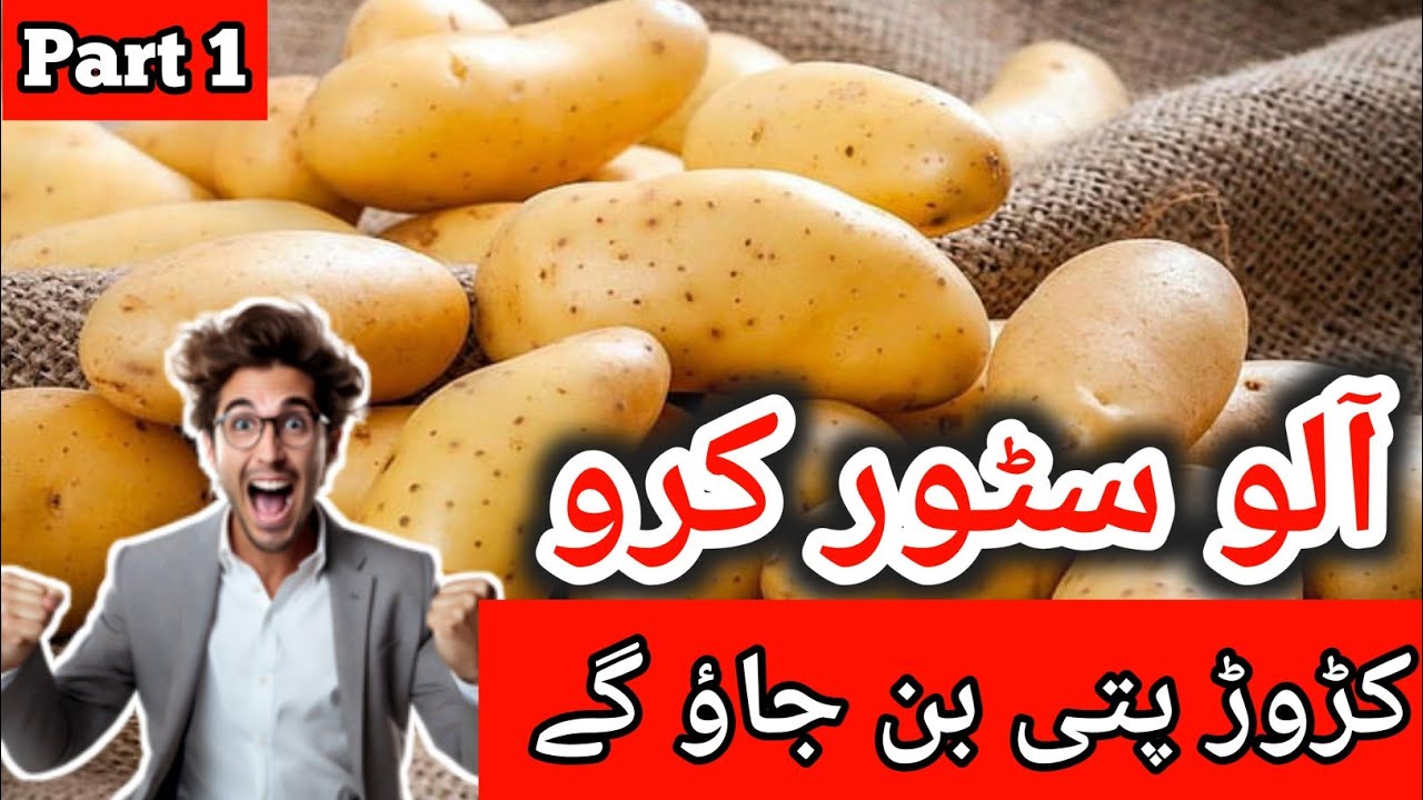 Aalu business in Pakistan | Aalu profitable business profit | Business Ideas | Anees Voice