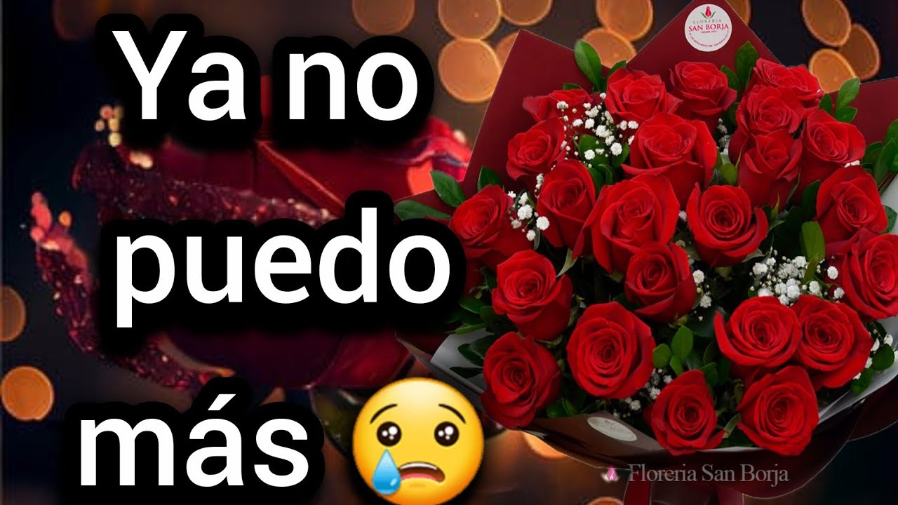Mi Princesa ya no puedo llorar mas querida necesito que sepas esto por favor escuchalo princesa
