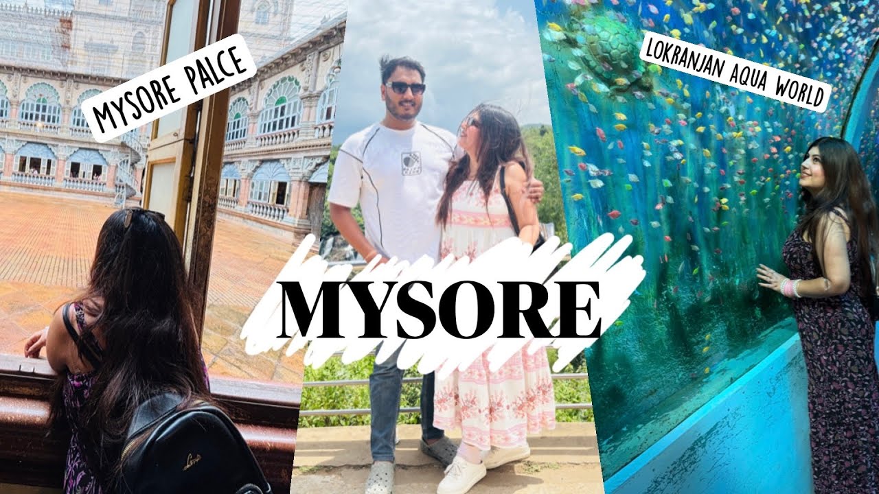 Road Trip || Bangalore to Mysore || #ytshorts #travelvlog #travel #mysore #bangaloretomysore 