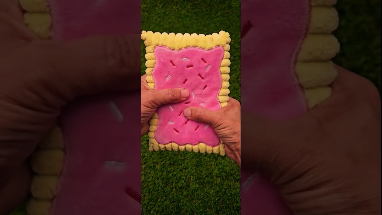 Dog Toy Squeaky Toy - Testing Squeaky Sounds Before You Buy #dogvideos #dogsofinstagram #squeakytoy