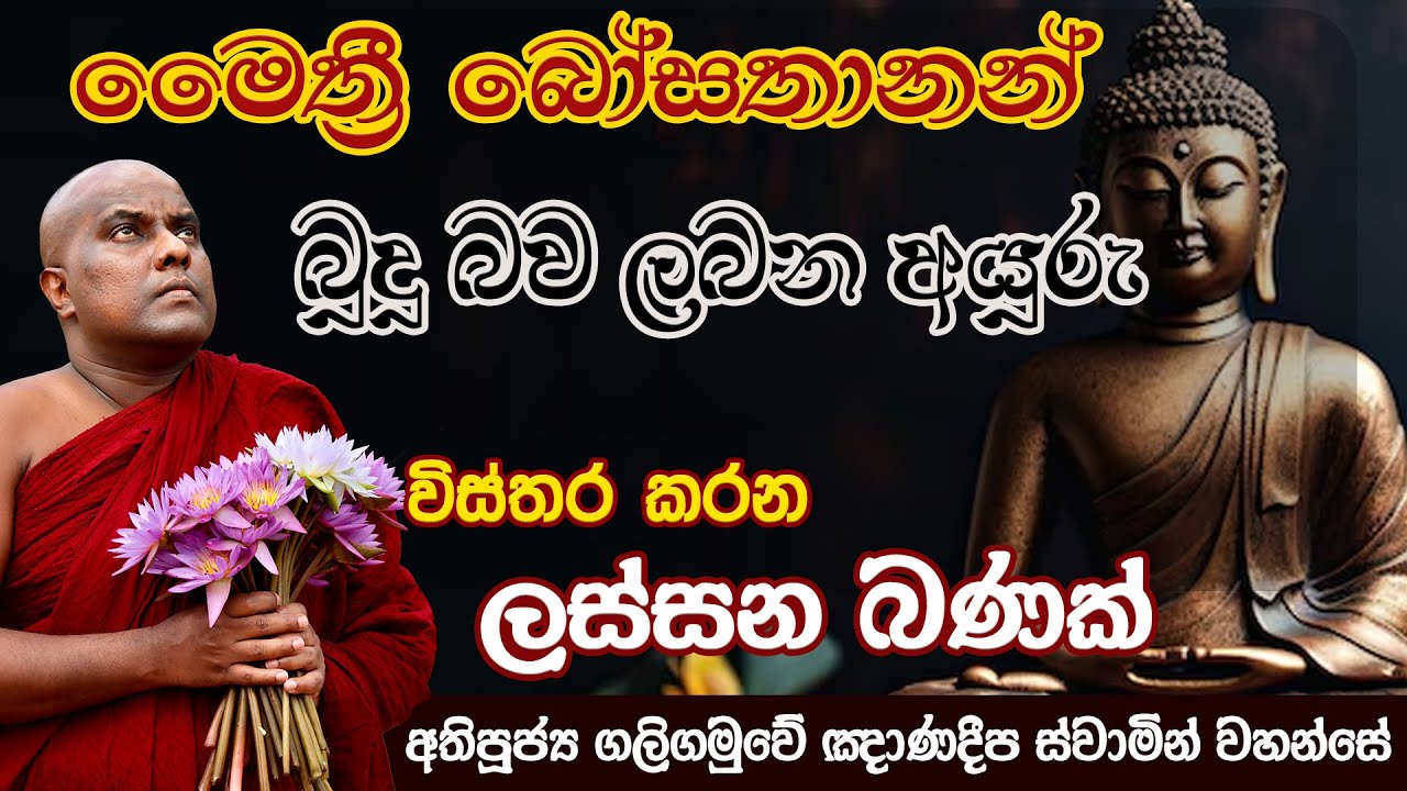 මෛත්‍රී බෝසතානන් බුදු බව ලබන අයුරු විස්තර කරන ලස්සන බණක් | Galigamuwe Gnanadeepa Thero