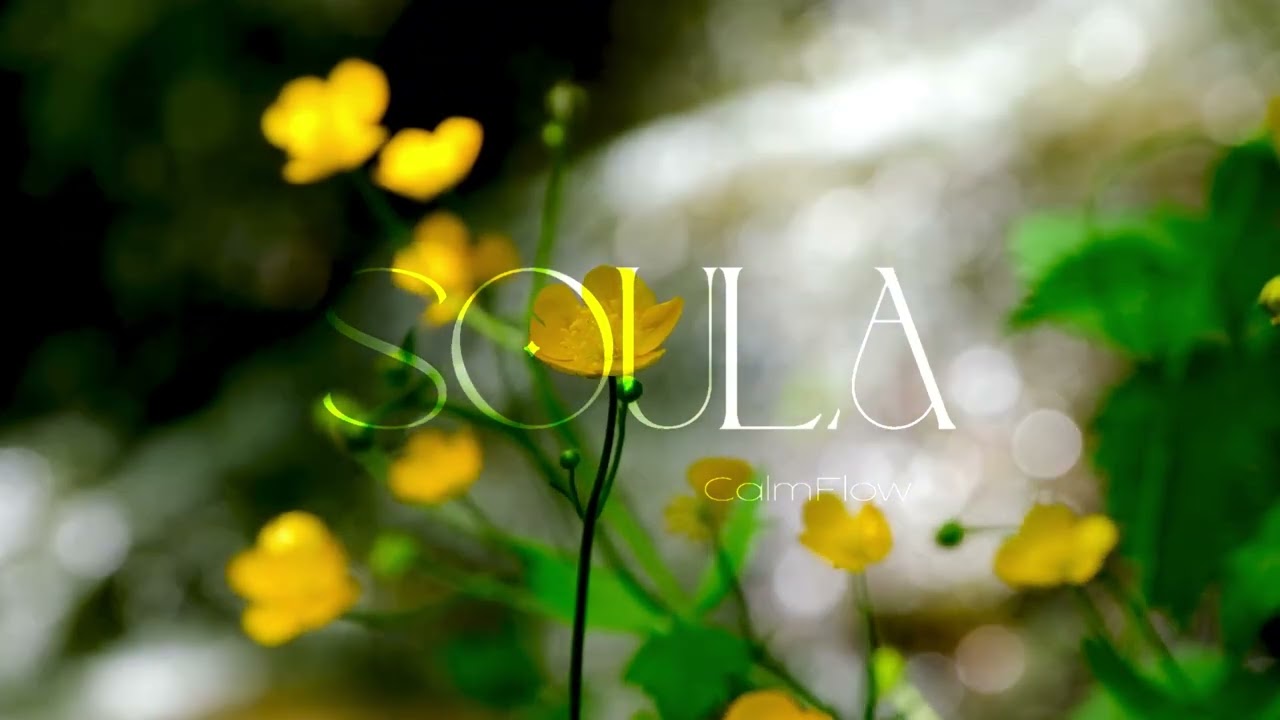 Stop Trying to Calm Down | Nervous System Grounding Affirmations