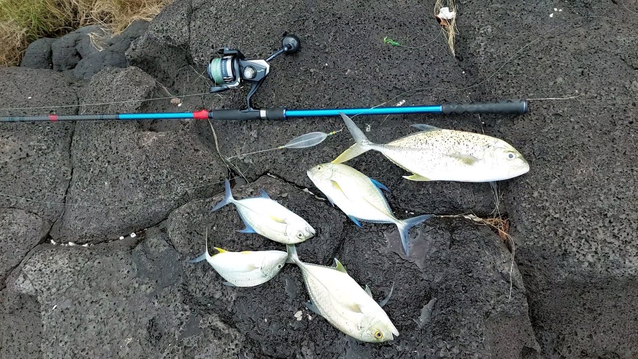 Fishing for Trevallies in Mauritius using the bombarda rig. Pêche à la Carangue à l'île Maurice.