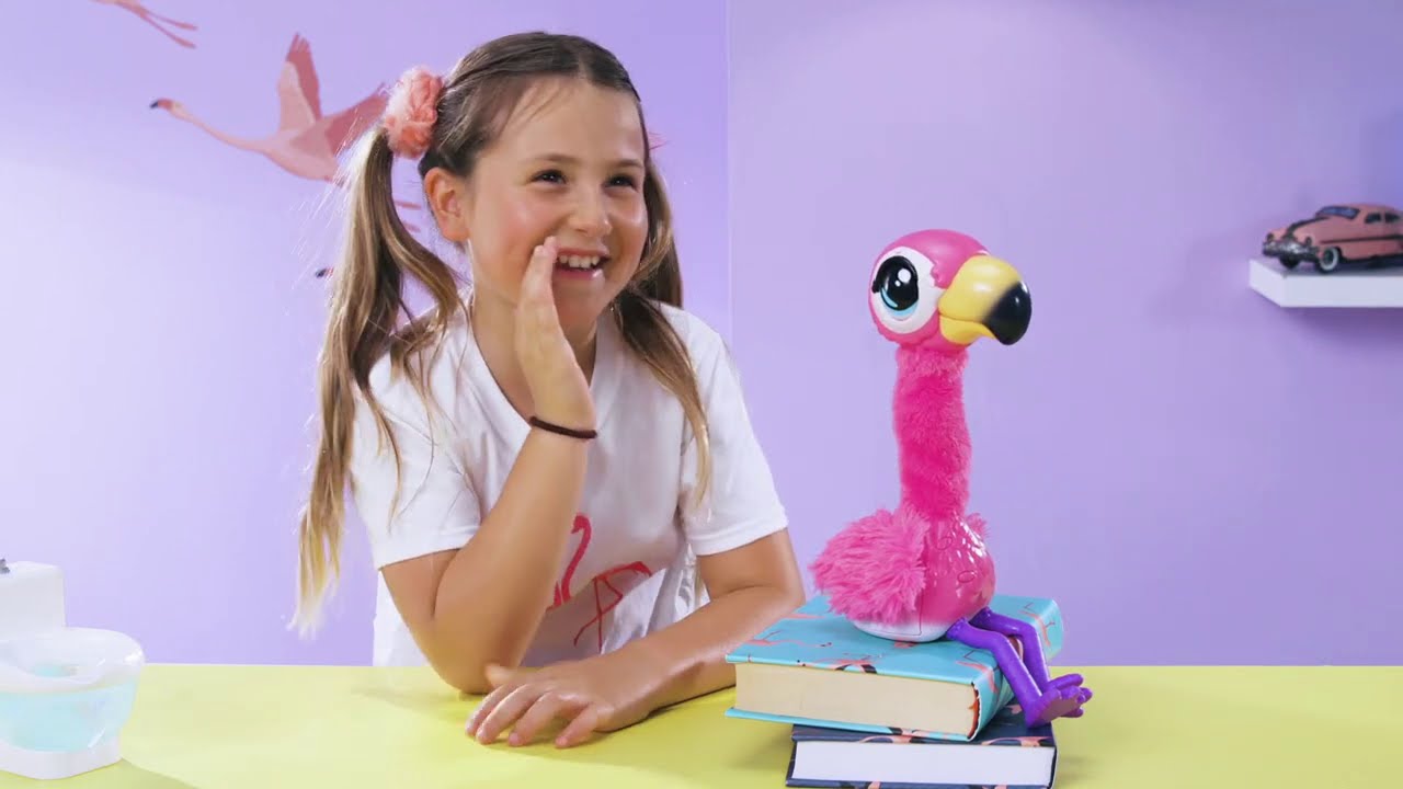 Little Live Pets | Gotta Go Flamingo | How to Care & Play!