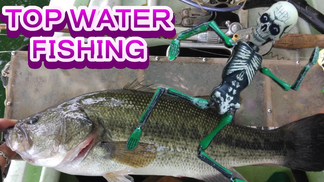こんなトップウォータールアーでデカバスを釣るのが気持ちいい【バス釣り】