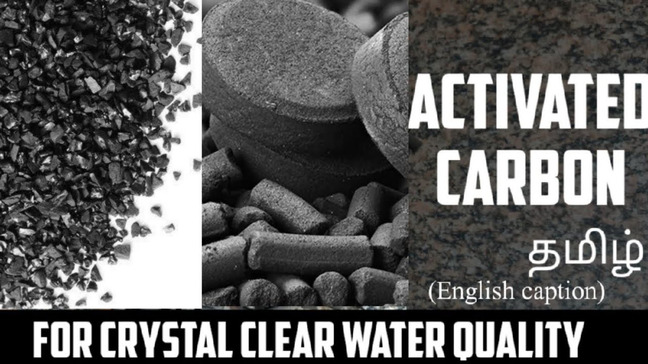 ACTIVATED CARBON - king of chemical filtration | filtration media | Aquapets & farm