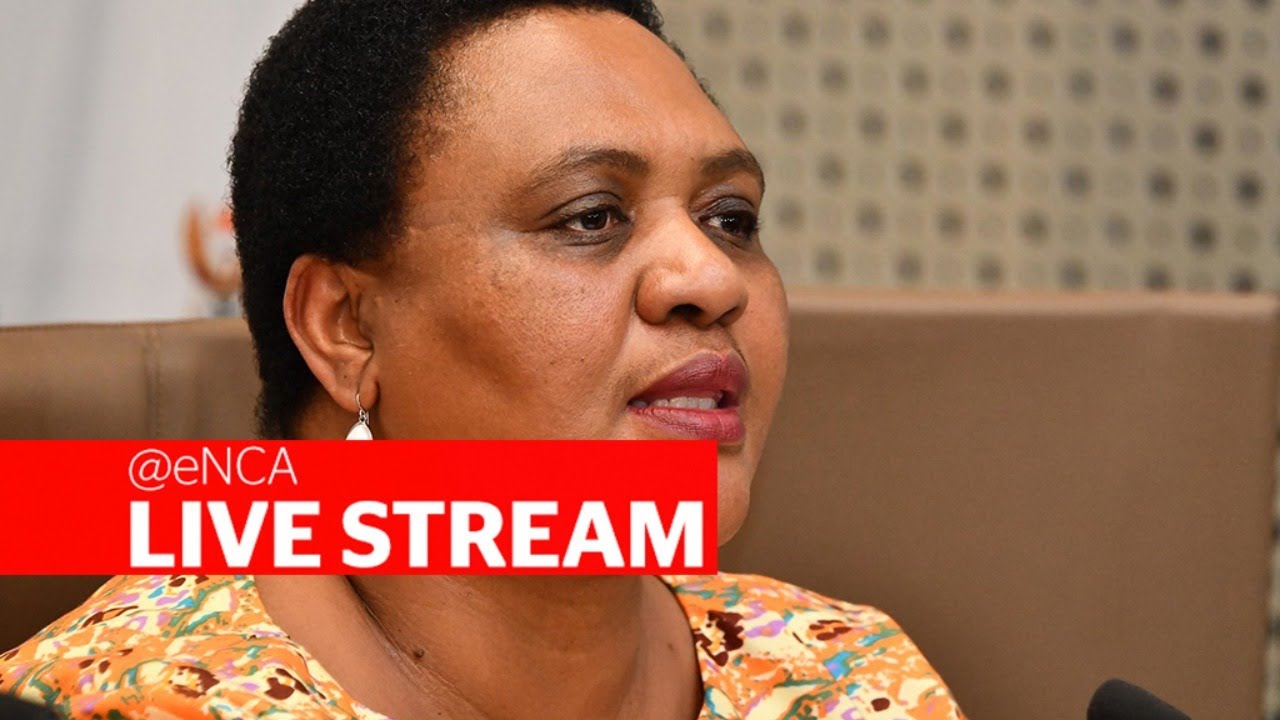 Ministers Ronald Lamola and Thoko Didiza on approved Land Court Bill