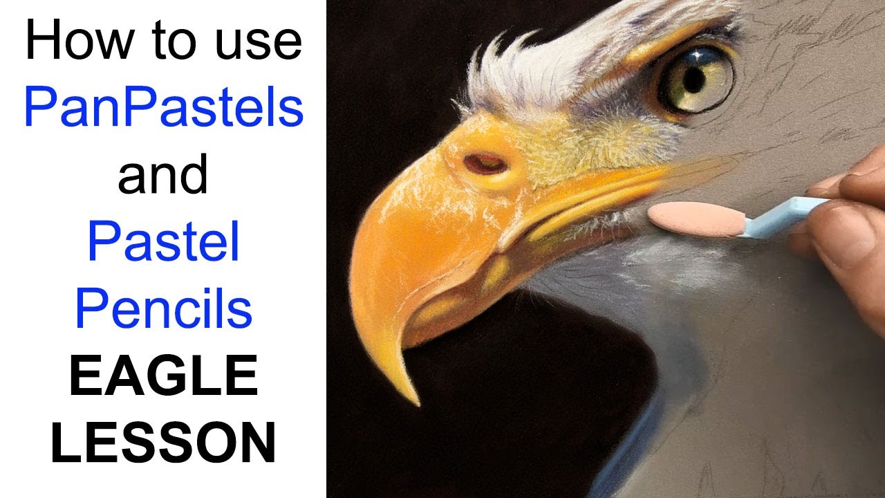 How to use - Panpastel / Pastel Pencil Lesson - Eagle - Jason Morgan Art