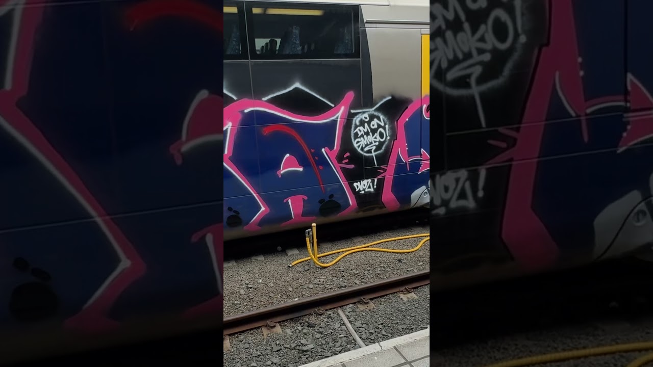 Australia - Sydney Panel Work - Train Graffiti ~ Central Station .