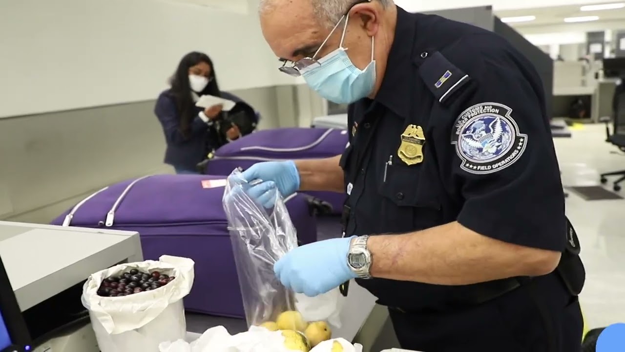 CBP&rsquo;s critical role in protecting U.S. Agriculture and Natural Resources