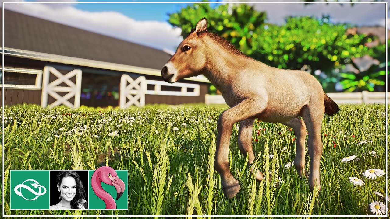 Building a HUGE Przewalski's Horse Barn & Backstage Staff Area in Planet Zoo