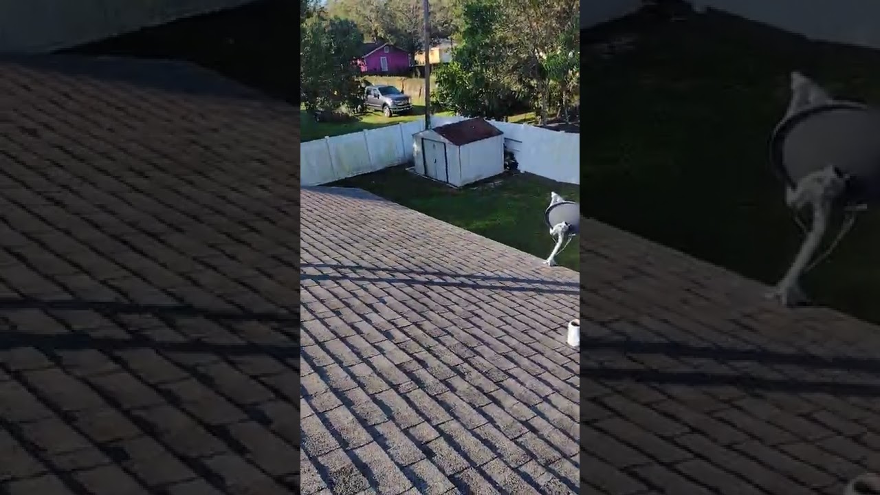 roof shingles.bradenton Florida