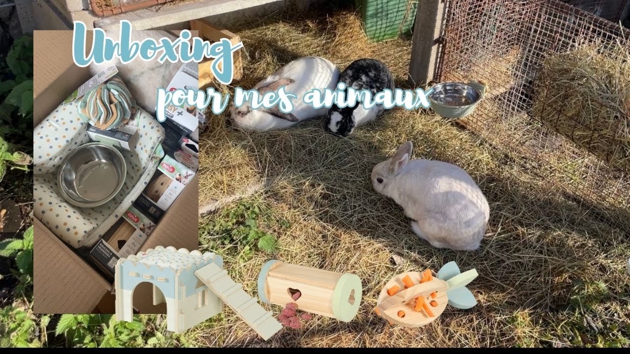 Unboxing et teste des nouveautés Zolux avec mes animaux
