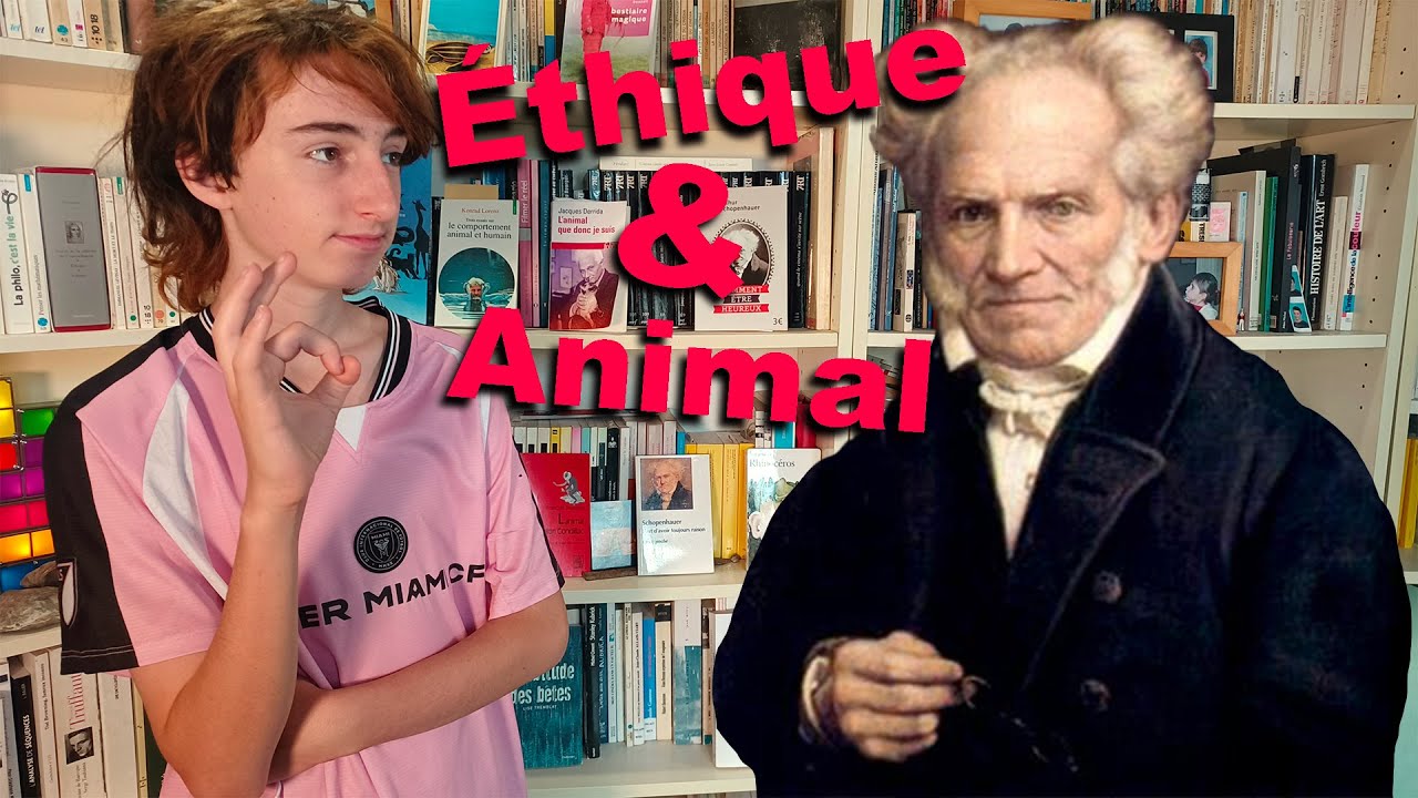 Philo-Animo: Schopenhauer 