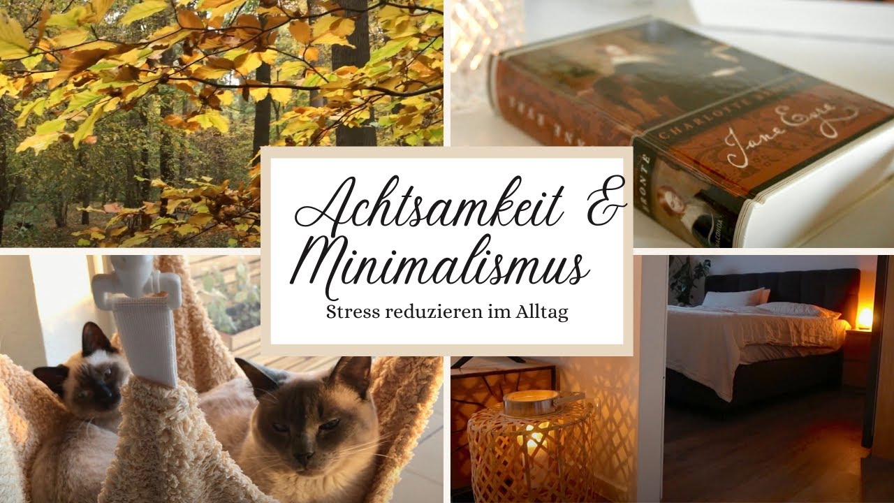 Durch Minimalismus entschleunigen 🧡Herbst Wald-Spaziergang, Achtsamkeit &uuml;ben, Stress reduzieren