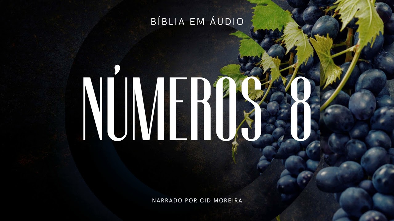 Números 8 | Bíblia em Áudio (Narrado por Cid Moreira)