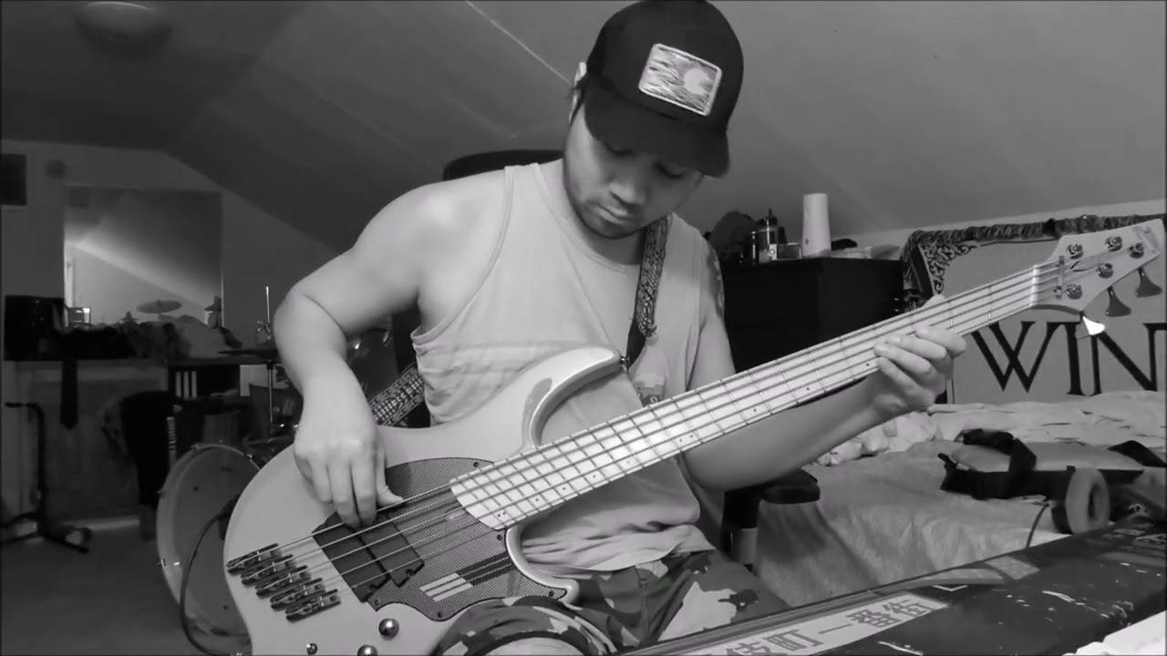 Tadka Intro - Bloodywood (Bass Cover)