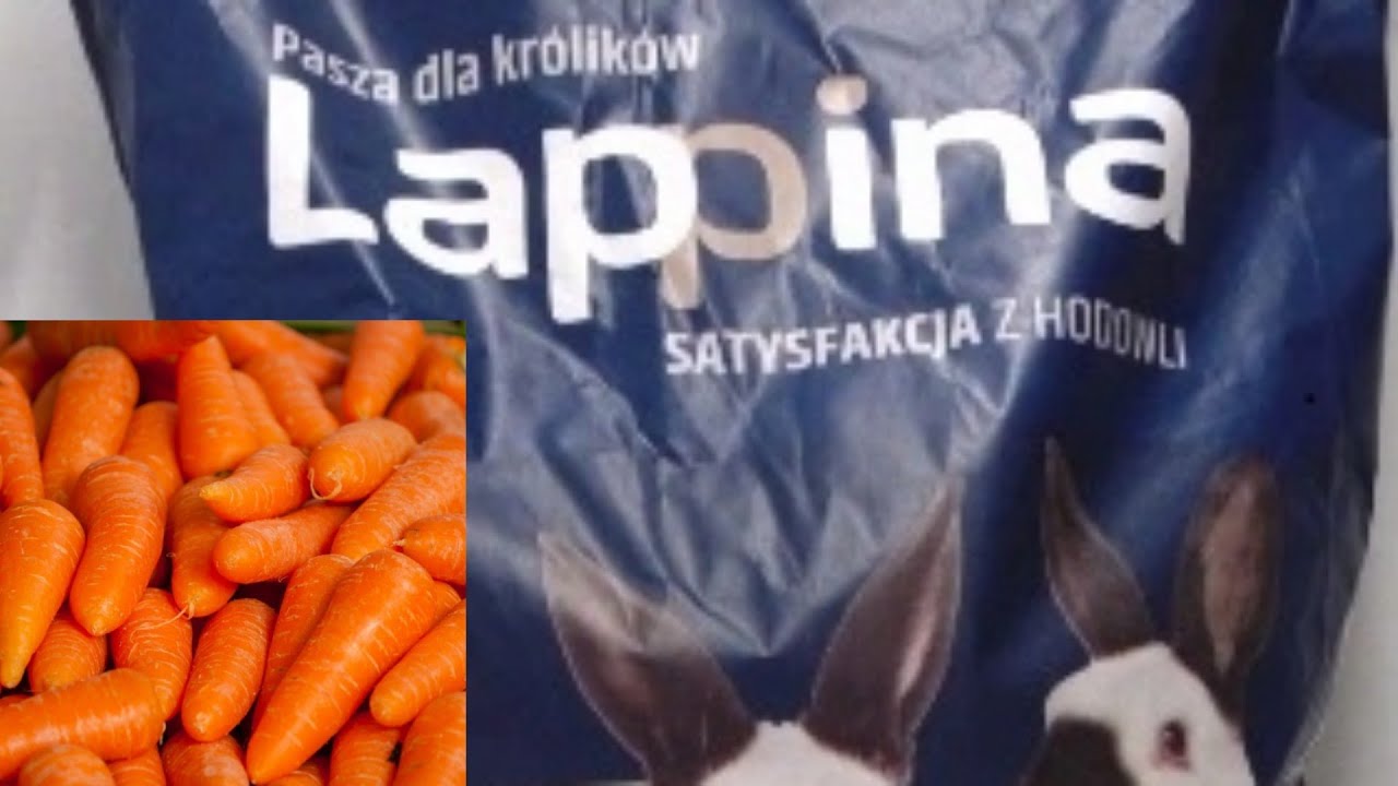 Marchewki - pasza dla królików