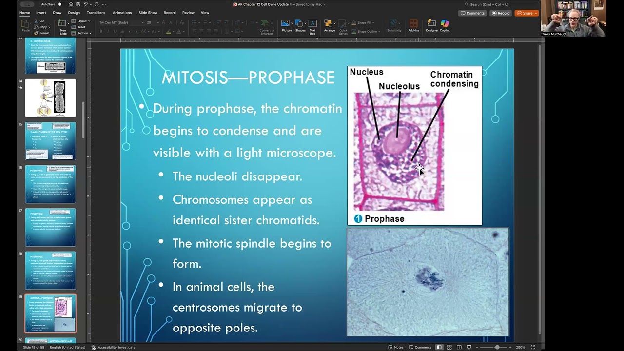 AP Mitosis and Cell Cycle Control