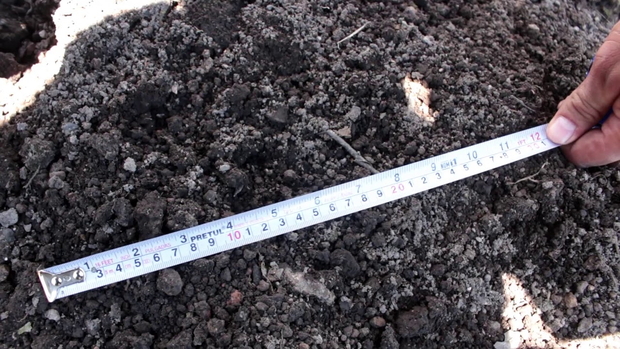 1 Preparación del suelo para el cultivo de frijol