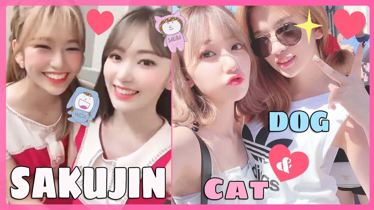 (EN SUB) IZONE - SAKUJIN / CAT Unnie & DOG Maknae 아이즈원  アイズワン,