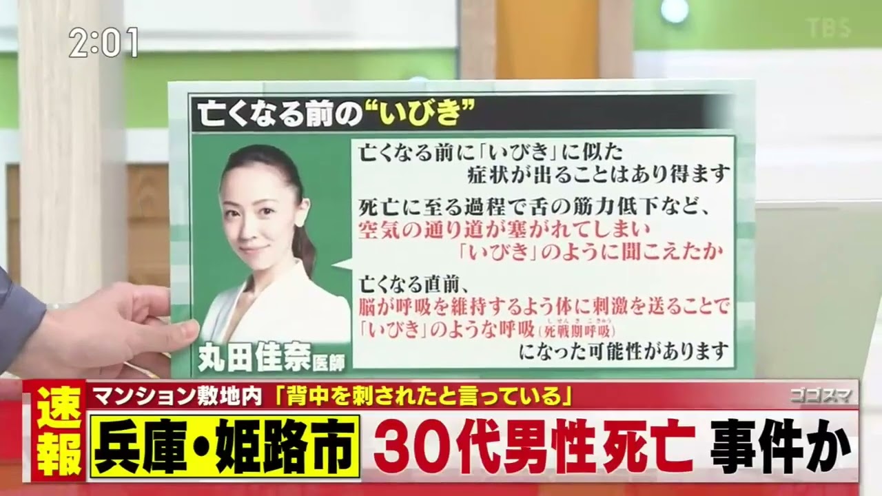ゴゴスマ 動画　2026年01月20日