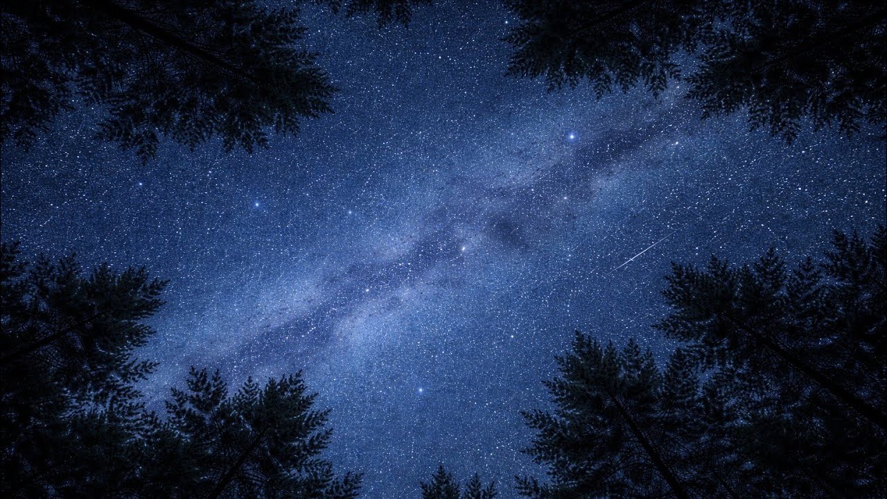 Under the Stars 🌌 Forest Night Sky Ambience for Deep Sleep | Relaxing Nature Sounds | 3 Hours 
