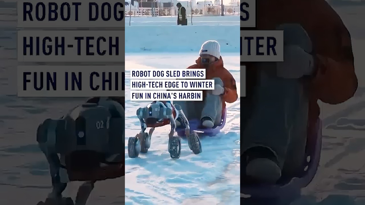 Robot dog sled brings high-tech edge to winter fun in China's Harbin