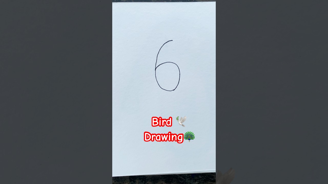 Easy Bird Drawing 🦚🦜 For Kids #kids #kidstv #kidsdrawing #easydrawing #birddrawing #howtodraw