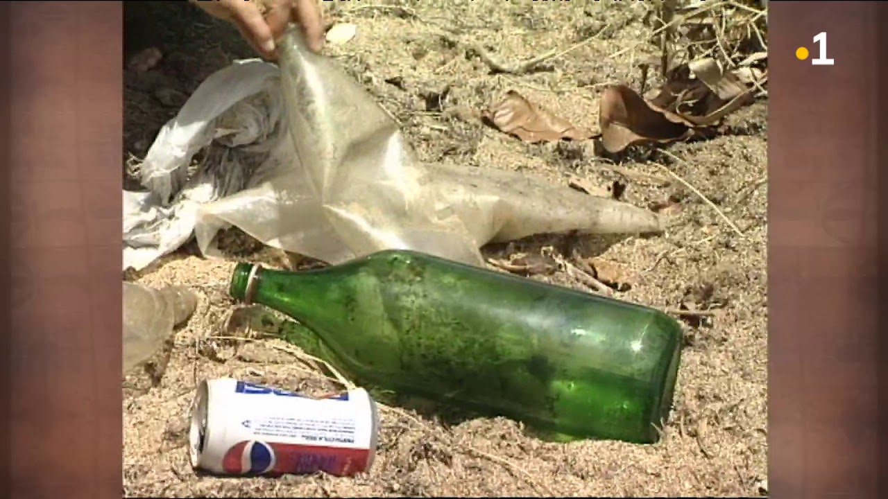 TALANOA: Manatu'i (Pollution des plages 1996)