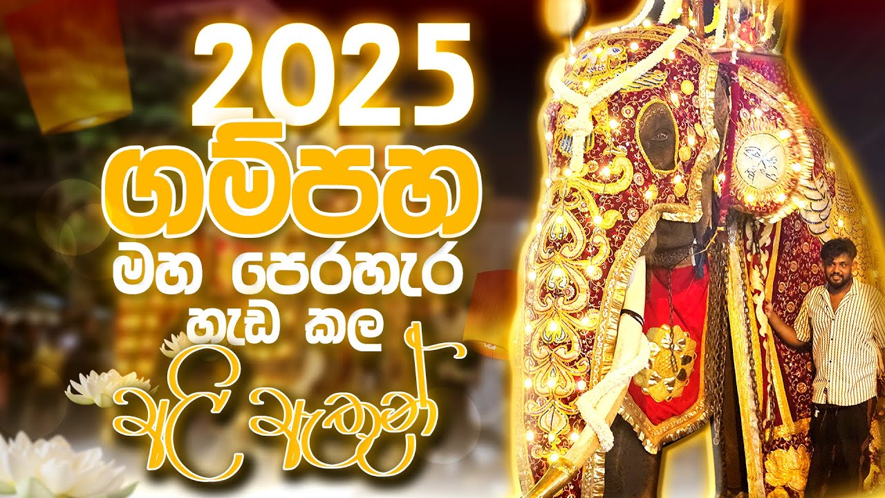 ගම්පහ සාම විහාරස්ථ 60 වන වෙසක් පෙරහැර හැඩ කල අලි ඇතුන්