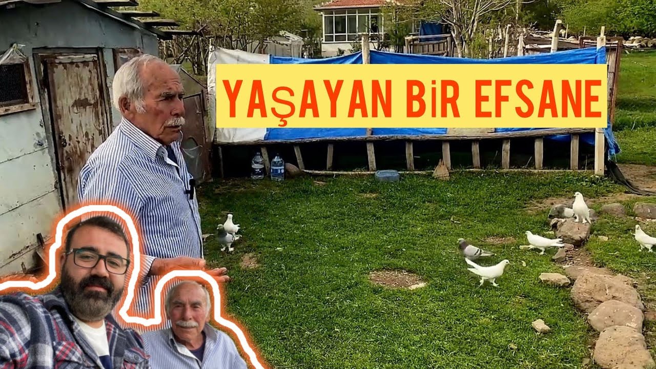 Biz çoçukluktan yetişme kuşçuyuz! HACI AHMET ÜSTAT!