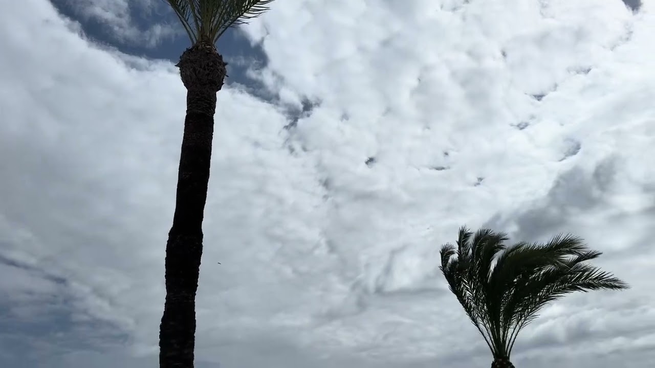 Siente la brisa de la playa