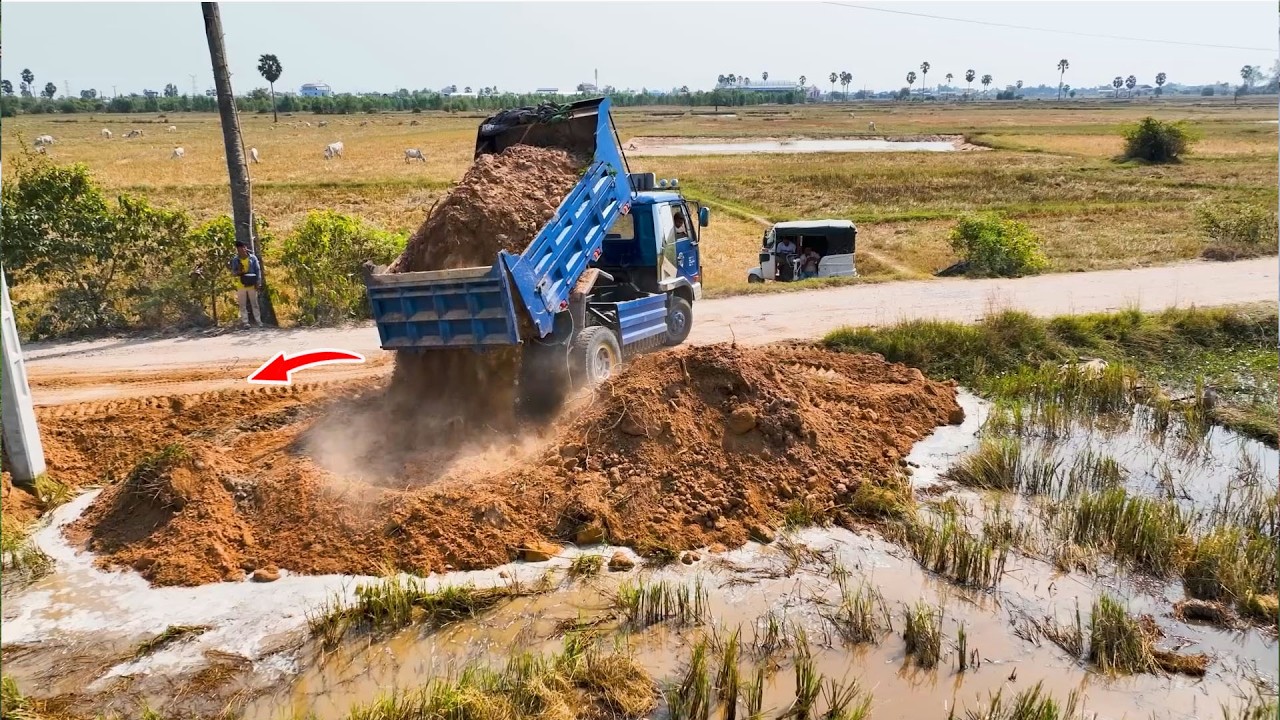 OMG ! Dump truck 5T unloading Soil landfilling flooded with mini bulldozer pushing fill