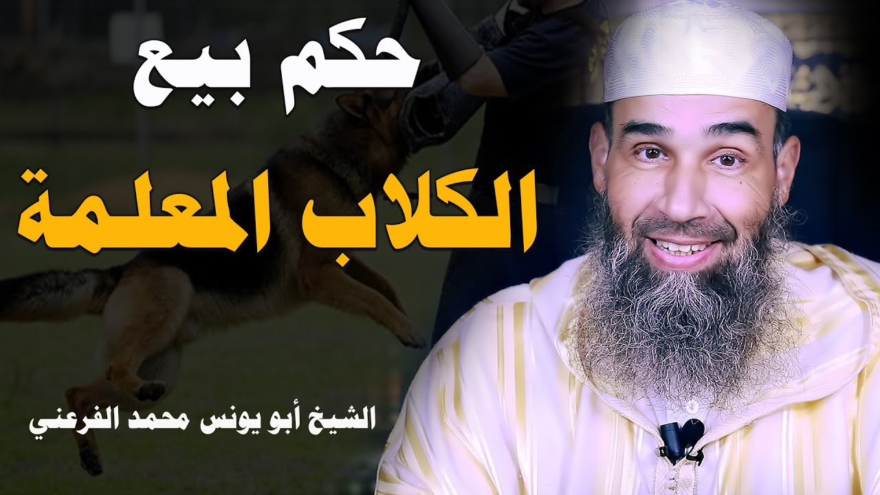 حكم بيع الكلاب المعلمة || الشيخ أبو يونس محمد الفرعني (FHD)