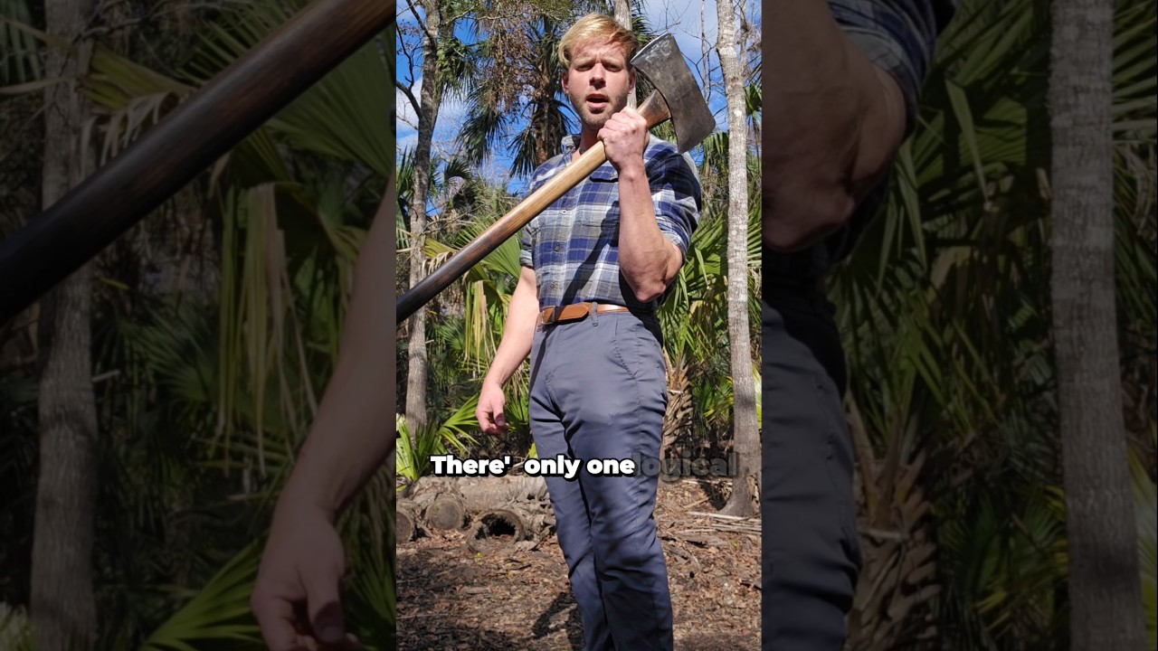 The only logical reason to use a double bit Axe #axe #firewood #splittingfirewood #wood #shorts