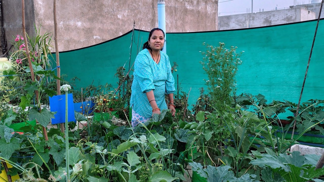 तेज गर्मी से पौधों को कैसे बचाएं 🌞 | Summer Gardening Tips